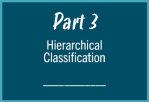 Part 3: Hierarchical Classification